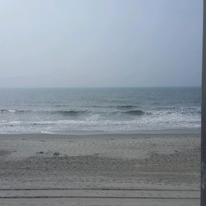 Meet your Posher, Randi